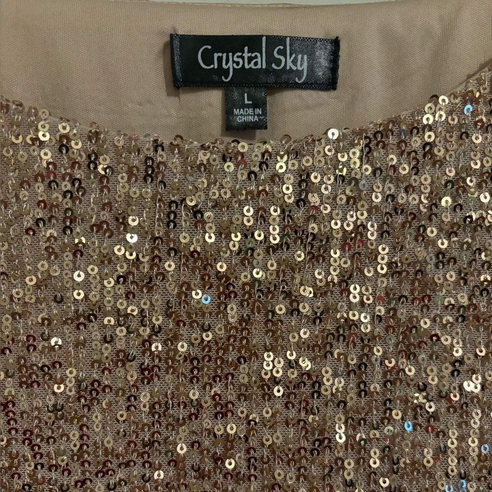 Sequin Dress